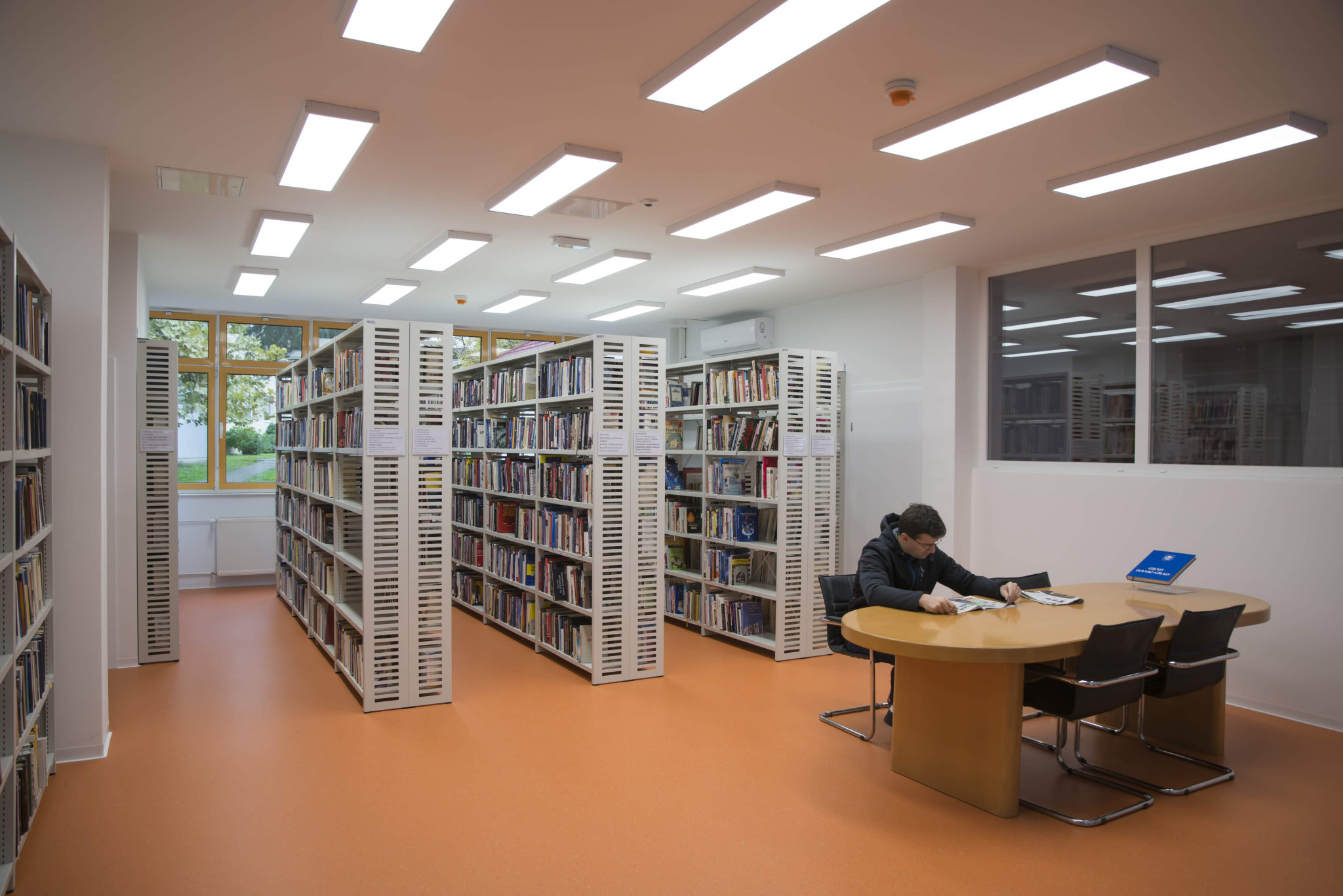 Gradska knjižnica Velika Gorica ima novo ljetno radno 
