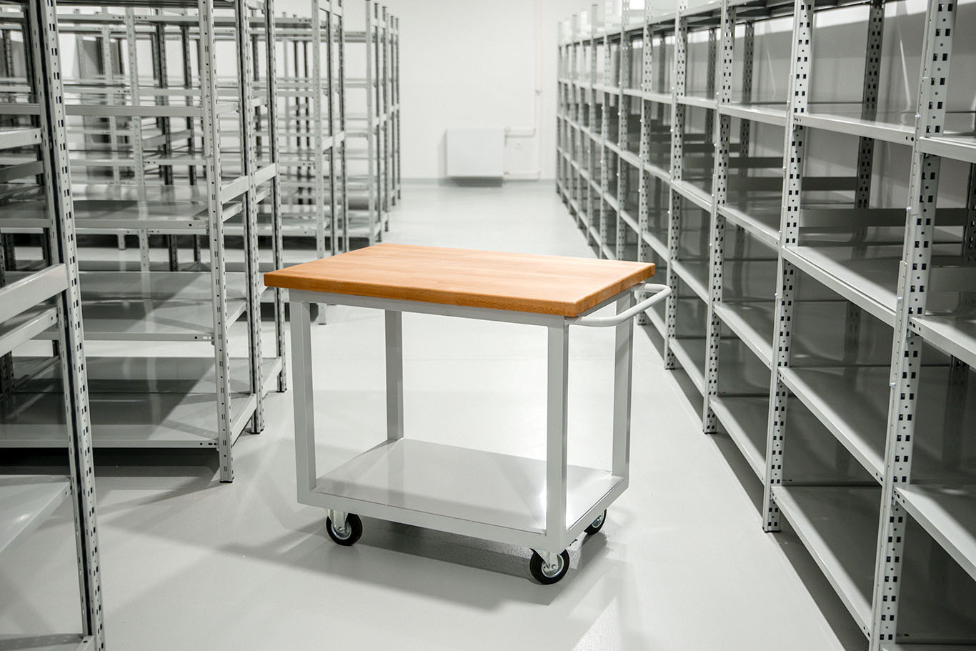 Metalni arhivsko-skladišni regal LB6 i kolica KBC RIieka - radionička kolica