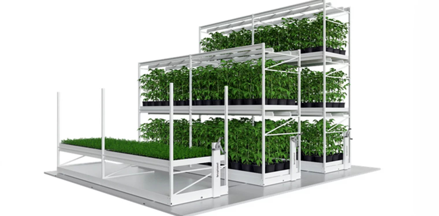 Vertikalni uzgoj je korak prema poljoprivredi budućnosti