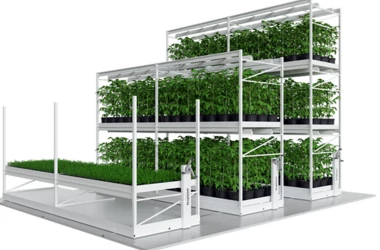 Vertikalni uzgoj je korak prema poljoprivredi budućnosti